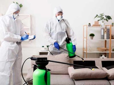 Désinfection et Décontamination : Protéger Votre Espace et Votre Santé